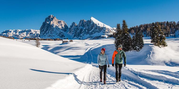 Early winter bliss at Sciliar (7=6)