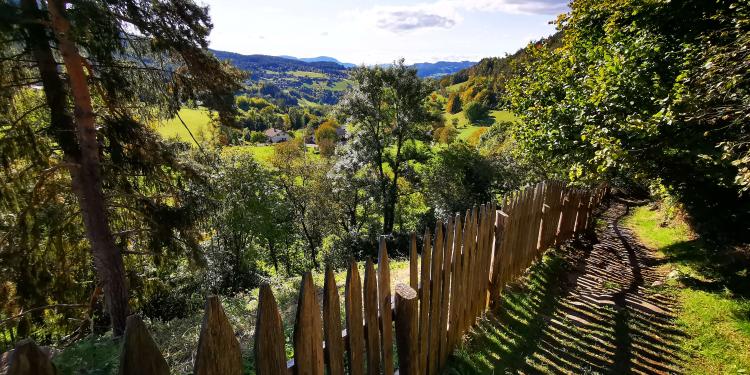 Herbstspecial für Naturliebhaber (4=3)