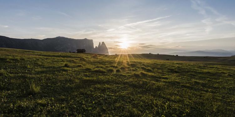 Ausgeglichen durchs Frühjahr 