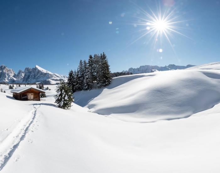Rediscover old customs: Snowshoe hikes on the Alpe di Siusi 